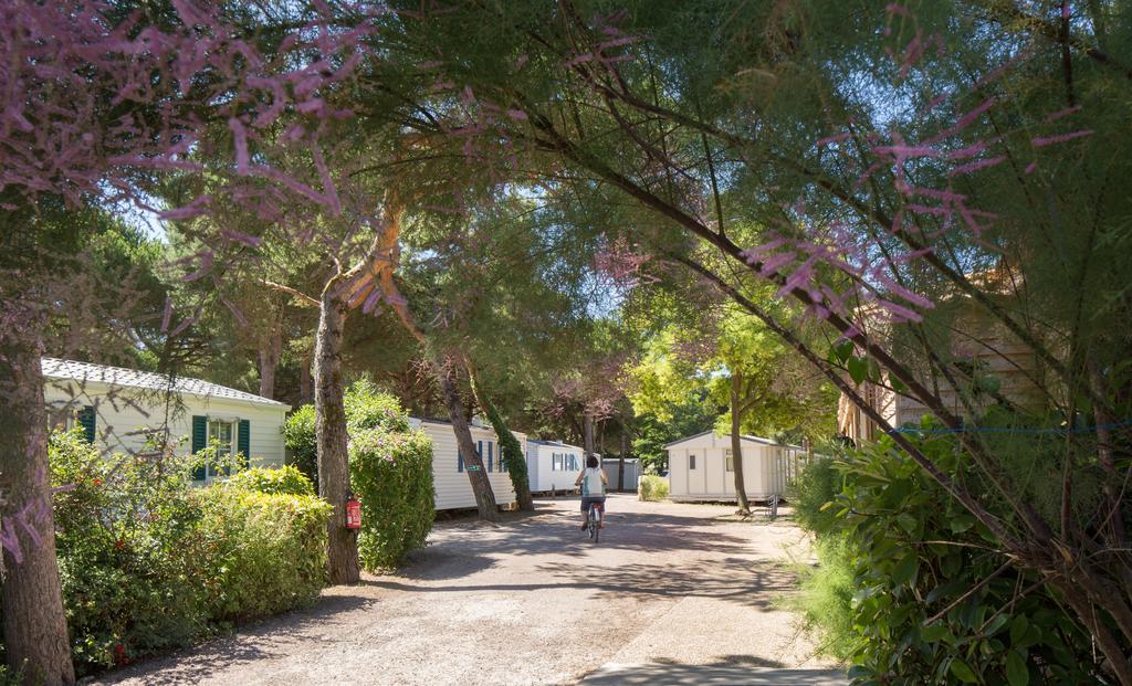 Camping Le Suroit Le Bois-Plage-en-Ré Zewnętrze zdjęcie